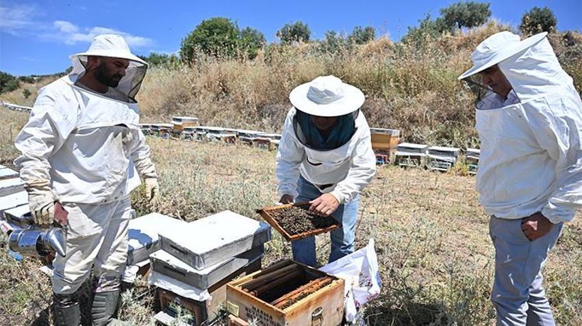 Manisa'da harekete geçildi! Üreticiye büyük destek: Yüzde 100 hibeli