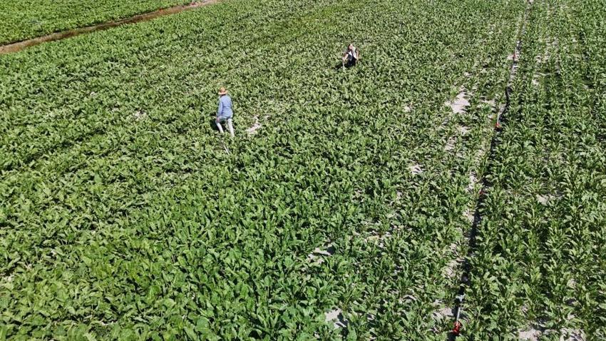 'Kız çocuğu yapamaz' diyenlere inat babasının sağ kolu oldu! Mühendislik bilgisini tarımla birleştirip üretimi artırdı