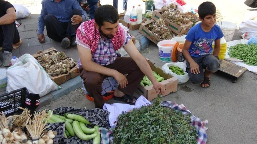 Batman'da bahçelerden şifa yağıyor: Hem sağlık hem gelir kaynağı oldu