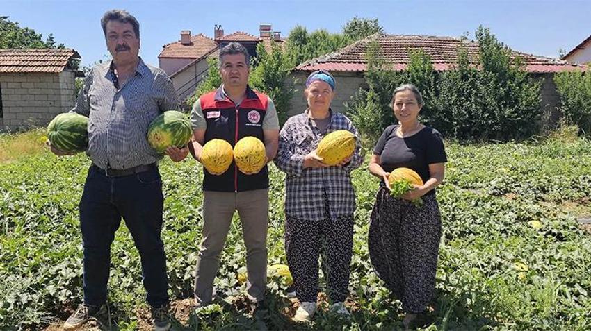 Denizli tarımına tescilli güç: Acıpayam kavununda hasat mesaisi başladı