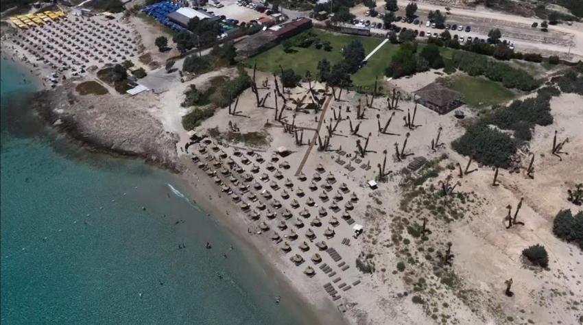 Çeşme'de ezber bozan plaj! Önü plaj, arkası tarla: Hazırladığı tezi iş yerine uyguladı, yiyeceğini tarlada, elektriğini güneşte üretiyor!