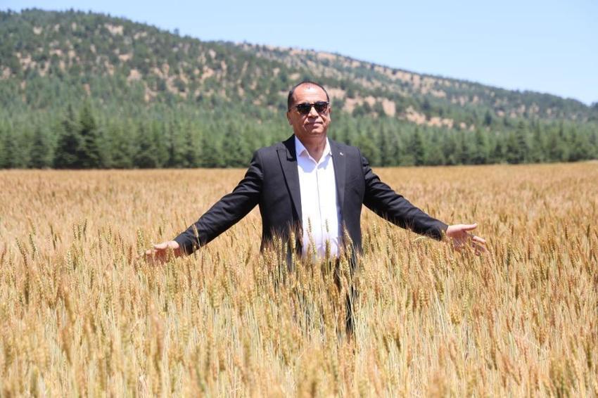 Adana'da atıl arazilerden büyük kazanç! 250 dönüm arazide üretim başladı, ekmeği 12,5 TL'den satıyorlar