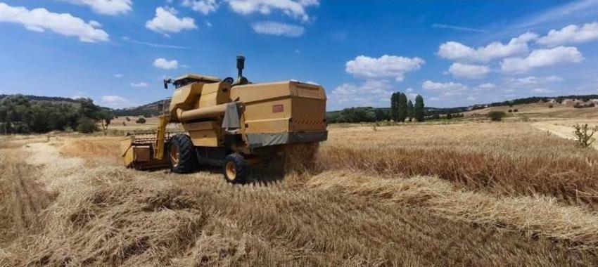 Kütahya’da yerli ve milli tohumlarda sezonun ilk arpa hasadı yapıldı! İşte en yüksek verim veren çeşit