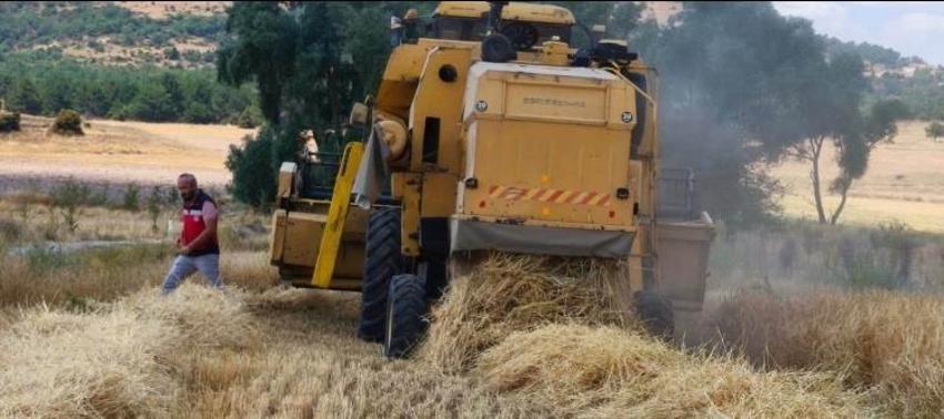 Kütahya’da yerli ve milli tohumlarda sezonun ilk arpa hasadı yapıldı! İşte en yüksek verim veren çeşit