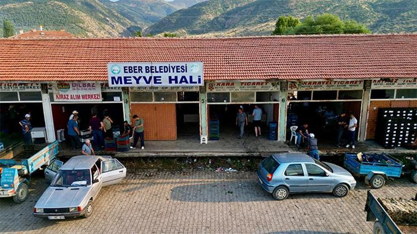 Afyonkarahisar'dan dünya sofralarına... Eber Köyü'nde hasat zamanı