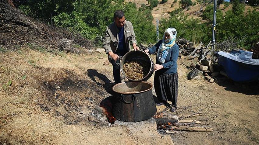 At sırtında taşınıyor, güneşte 7 gün bekletiliyor! Bingöl’ün tescilli lezzeti Sivan Dut Pekmezi sofralara ulaşmak için yola çıktı!