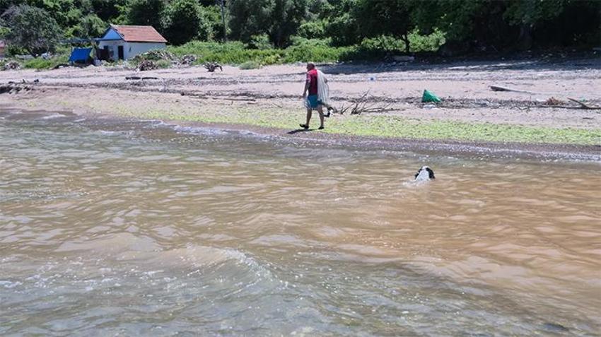 Yazın nüfusu 10 katına çıkıyor! Bu plajdakiler 10 adımda il değiştiriyor