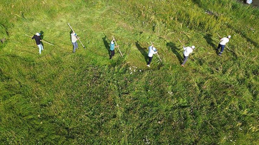 Traktörün giremediği dağlarda tırpan sesleri geliyor: Ağrı ve Kars’ta zorlu kış mesaisi başladı!