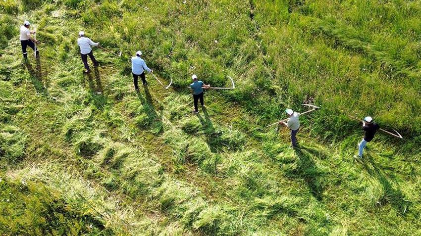 Traktörün giremediği dağlarda tırpan sesleri geliyor: Ağrı ve Kars’ta zorlu kış mesaisi başladı!