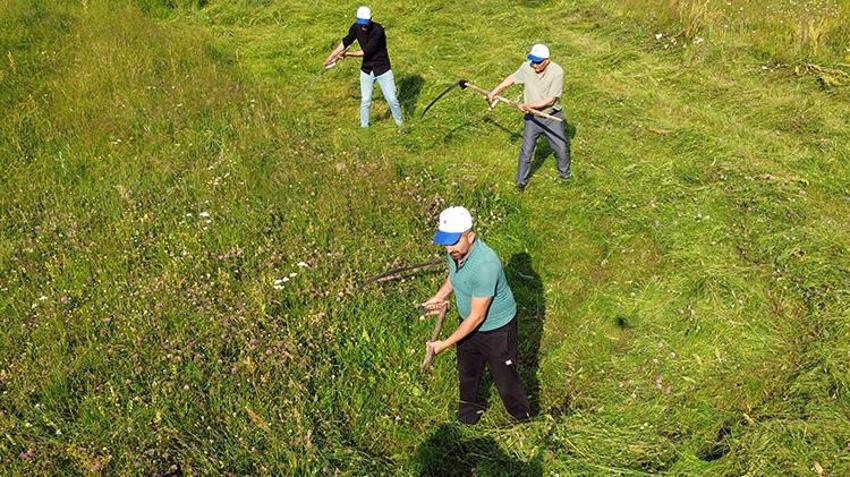 Traktörün giremediği dağlarda tırpan sesleri geliyor: Ağrı ve Kars’ta zorlu kış mesaisi başladı!