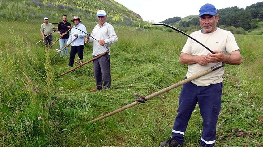 Traktörün giremediği dağlarda tırpan sesleri geliyor: Ağrı ve Kars’ta zorlu kış mesaisi başladı!