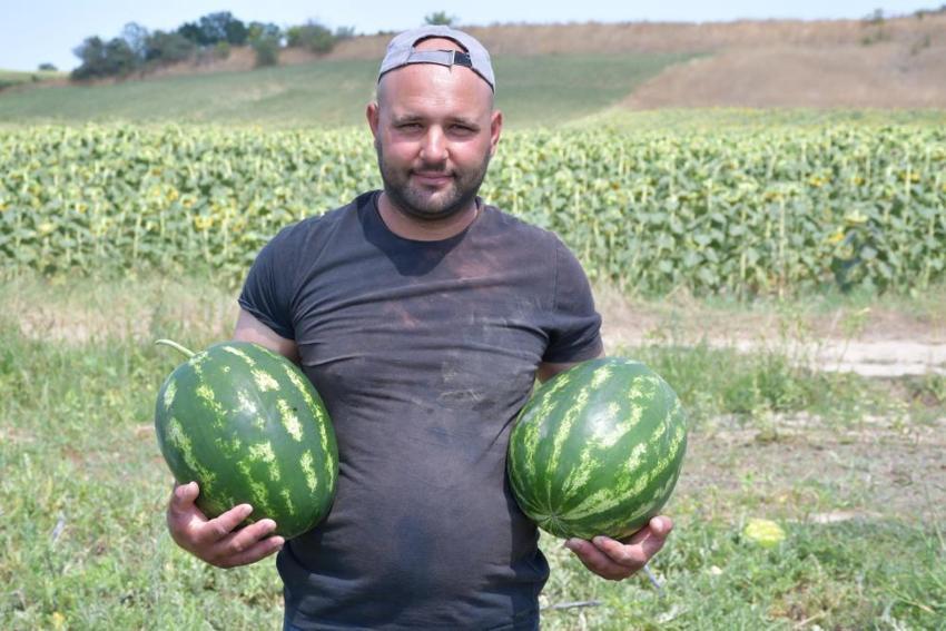 Tadan bir daha vazgeçemiyor! Köylünün en önemli geçim kaynağı oldu: Hasat başladı