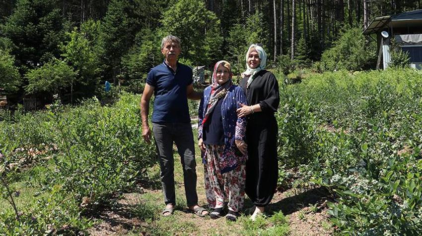 Şehir hayatını geride bıraktı! Dedesinden kalan tarlada üretime başladı, şimdi siparişlere yetişemiyor