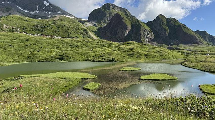 Bulutların üzerindeki cennet: Artvin'in yüzen adalı Arsiyan Yaylası ziyaretçi akınına uğruyor!