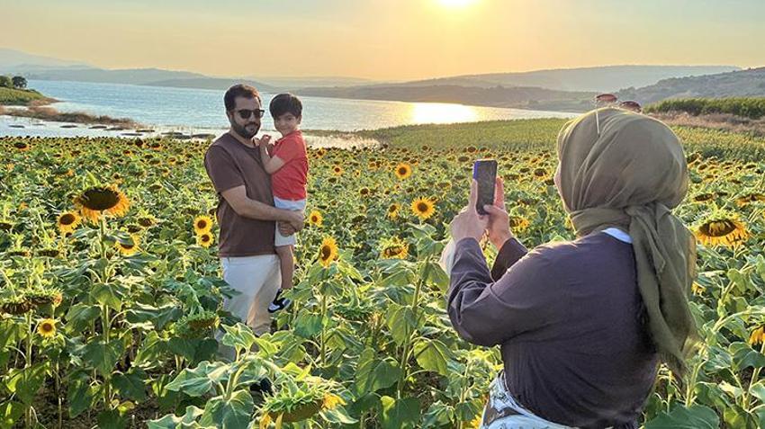 Gölün mavisiyle günebakanın sarısı buluştu: Tarsus'taki günebakan tarlaları dronla görüntülendi!