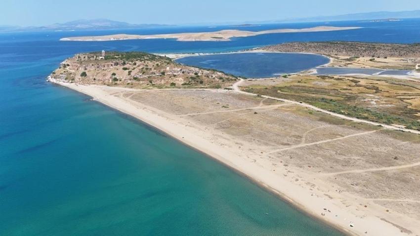Ayvalık'ta koruma kafesleri çöplüğe döndü: Kum zambakları zarar görüyor