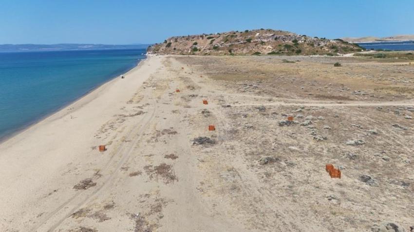 Ayvalık'ta koruma kafesleri çöplüğe döndü: Kum zambakları zarar görüyor
