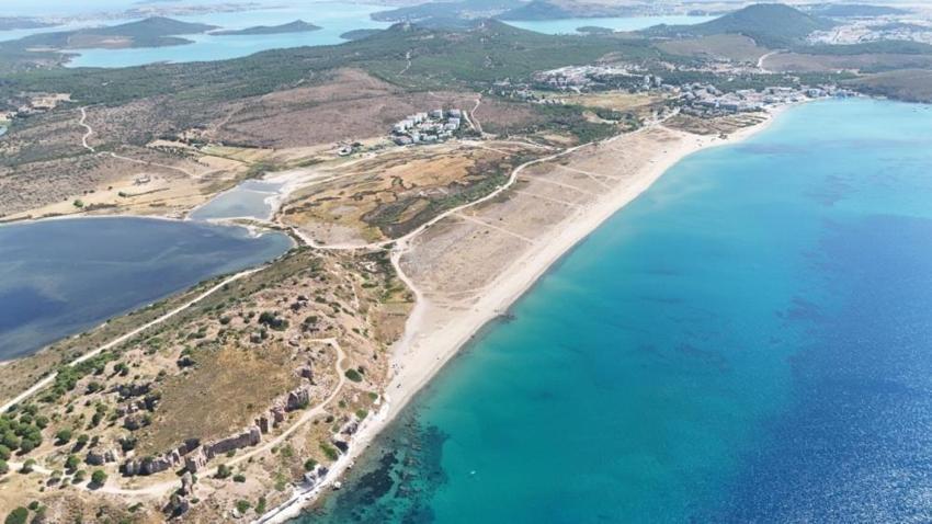 Ayvalık'ta koruma kafesleri çöplüğe döndü: Kum zambakları zarar görüyor