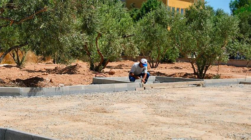 Doğayla iç içe yeni sosyal alan: Didim’e Zeytin Park geliyor
