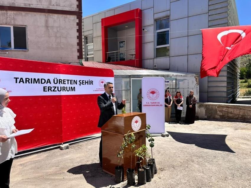 Erzurum'da bin adet meyve fidanı ve sera desteği ücretsiz dağıtıldı!
