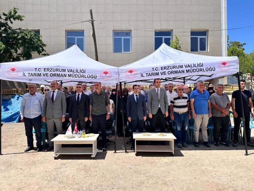 Erzurum'da bin adet meyve fidanı ve sera desteği ücretsiz dağıtıldı!
