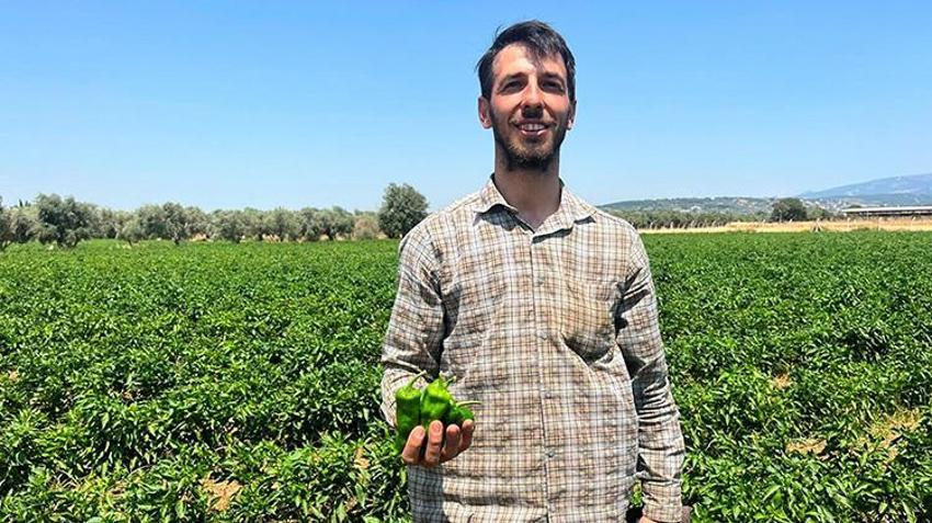 Ege'nin coğrafi işaretli biberinde rekor verim! Hasat sezonu başladı: İtalyanlar sos yapmak için sıraya girdi