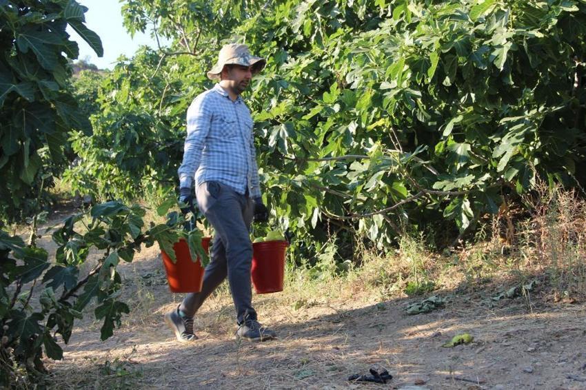 Dünyada sadece Manisa'da yetişiyor! Bir ayda fiyatı 5'e katlandı: Üretici siparişlere yetişemiyor