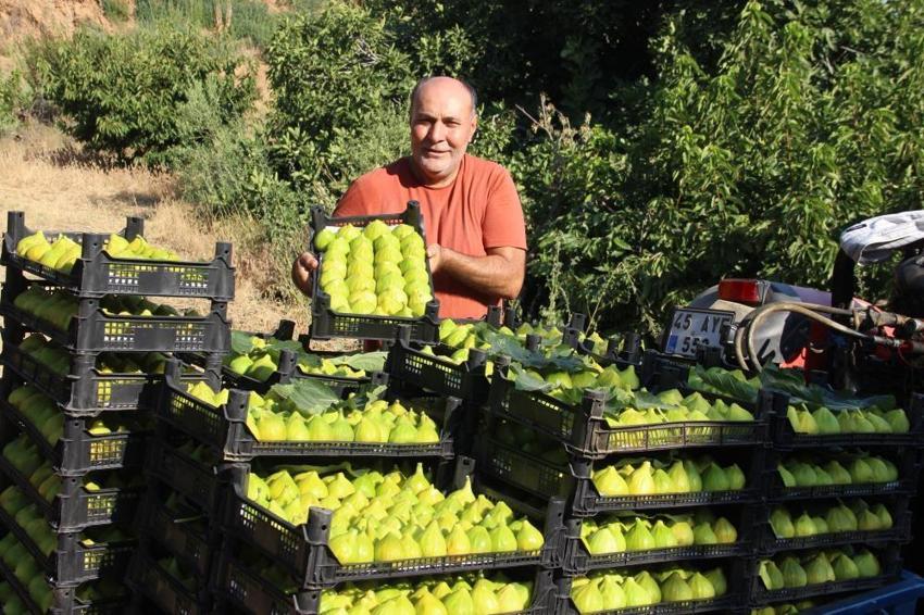 Dünyada sadece Manisa'da yetişiyor! Bir ayda fiyatı 5'e katlandı: Üretici siparişlere yetişemiyor