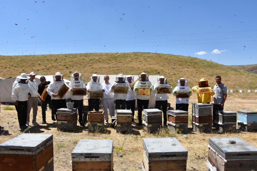 Türkiye'nin bal üretiminde ilk sırada yer alan Ordu'da üreticilerden ülke ekonomisine 7 milyar TL'lik katkı
