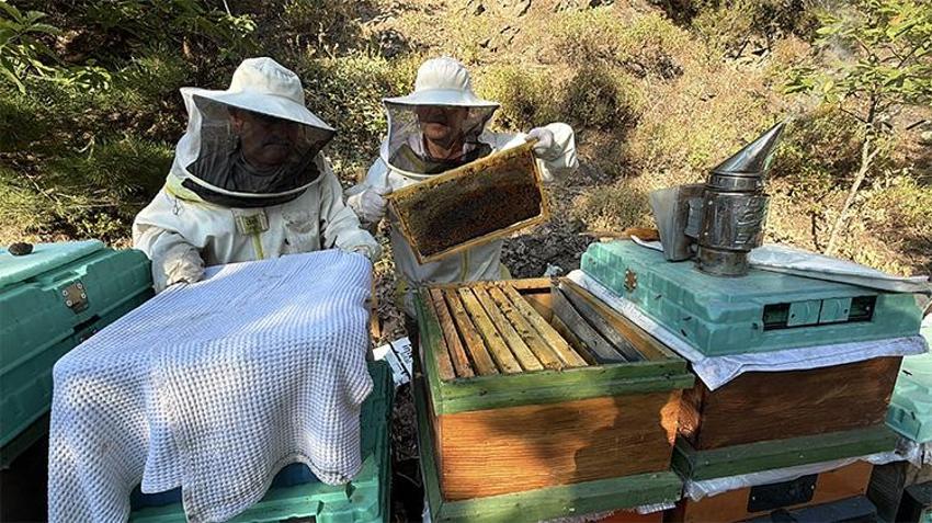 Kazdağları'nın tescilli lezzeti dünyayı fethetti: Kazdağı siyah balı üst üste 5. kez dünya birincisi oldu