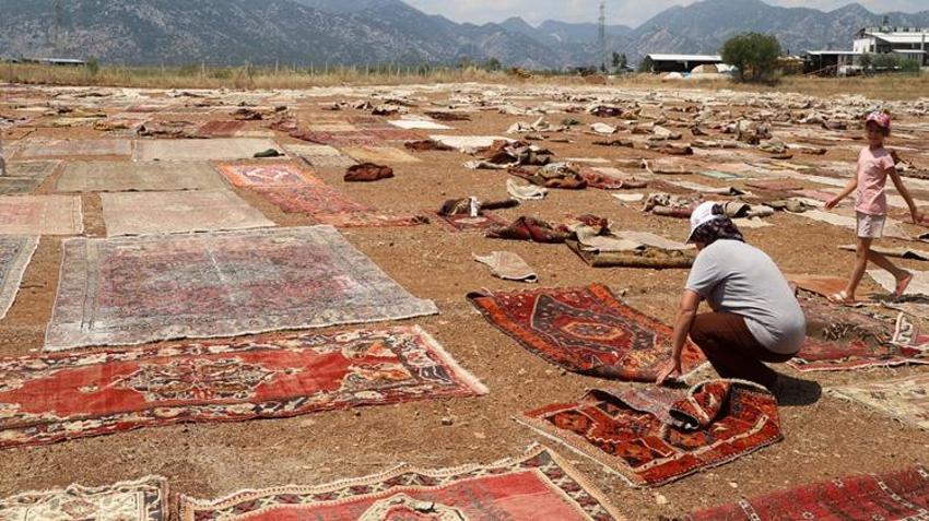 Köylerden tek tek toplanıp servete dönüştürülüyor! ABD ve Avrupa'da kapış kapış satılıyor