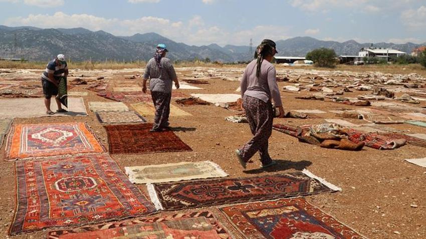 Köylerden tek tek toplanıp servete dönüştürülüyor! ABD ve Avrupa'da kapış kapış satılıyor