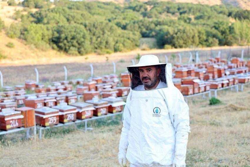 Ankara'da altın değerinde hasat başladı! 300 kovanın hepsi ihtiyaç sahiplerine ücretsiz dağıtılacak