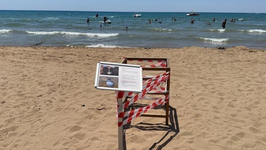 Antalya'da caretta caretta yuvaları şaşırttı: 100 metre uzakta bulundu
