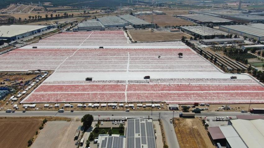 Dünya bu lezzeti konuşuyor! Torbalı'nın kuru domatesine talep büyüyor