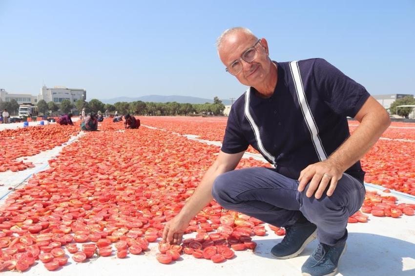Dünya bu lezzeti konuşuyor! Torbalı'nın kuru domatesine talep büyüyor