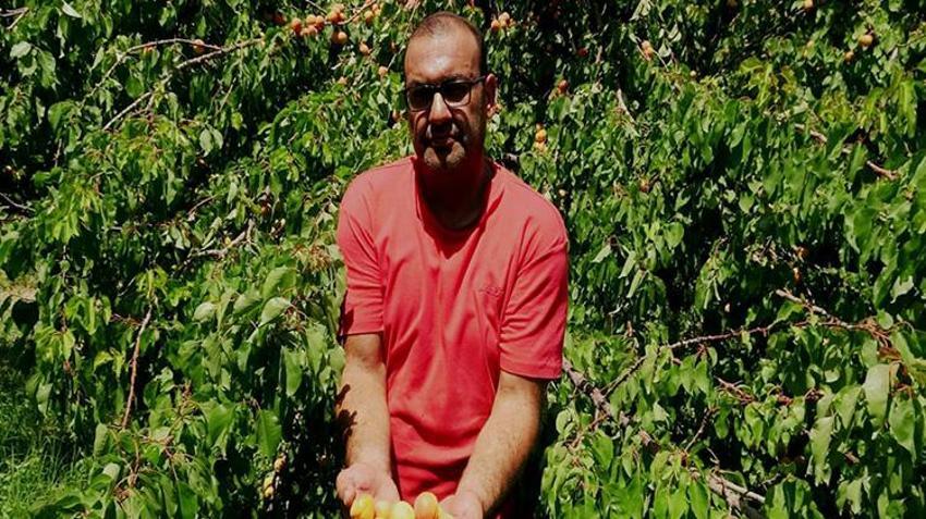 Geçen yıl dondan sıfır çekmişti! Tadına bakan bir daha unutamıyor: 'Şekerpare' hasadı başladı, kapış kapış gidiyor!