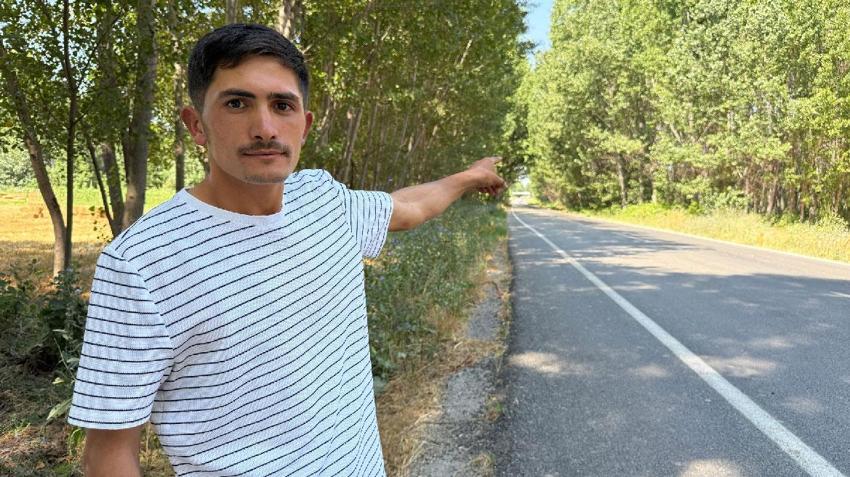 Pazar ile Zile ilçelerini birbirine bağlayan ağaç tüneli görenleri mest ediyor