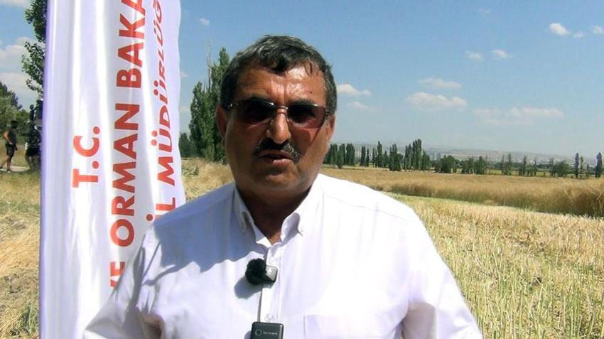 Çorum'da Tarım ve Orman Bakanlığınca planlı üretim kapsamına alınan kanolada ilk hasat gerçekleştirildi