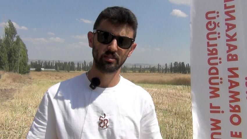 Çorum'da Tarım ve Orman Bakanlığınca planlı üretim kapsamına alınan kanolada ilk hasat gerçekleştirildi