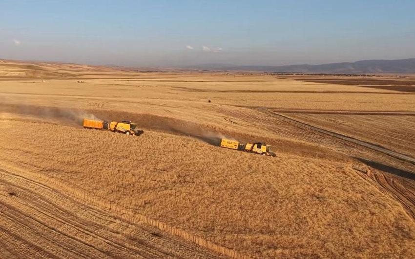 Türkiye'nin en büyük ekilebilir 3'üncü ovası Muş Ovası'nda saman presleme mesaisi sürüyor