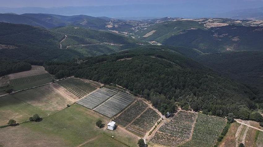 Bursalı 18 kadın üretiyor, İngiltere'den sipariş yağıyor! 850 metre rakımda dev başarı