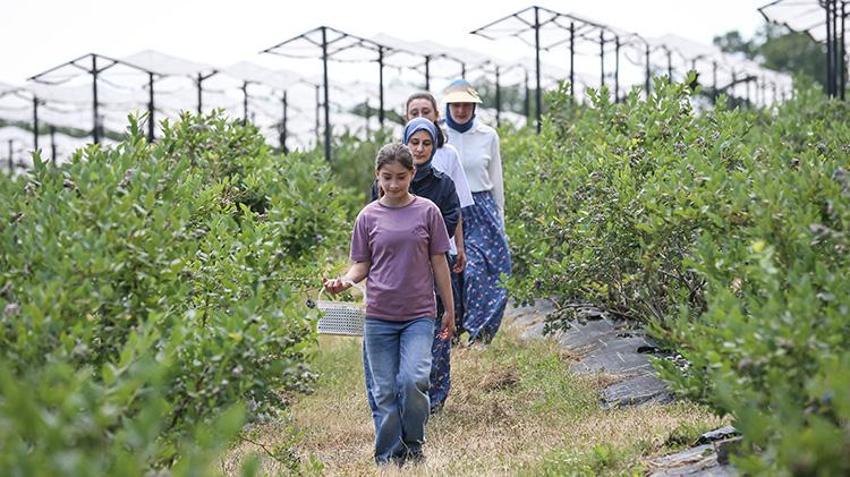 Bursalı 18 kadın üretiyor, İngiltere'den sipariş yağıyor! 850 metre rakımda dev başarı
