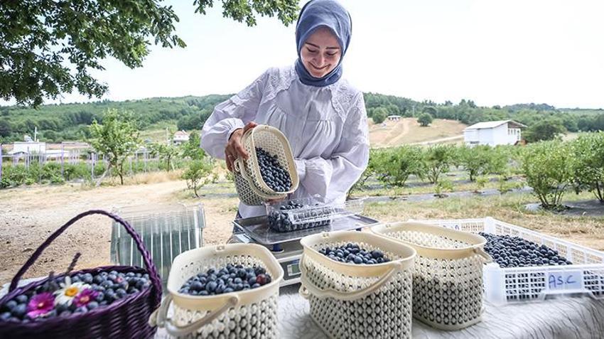 Bursalı 18 kadın üretiyor, İngiltere'den sipariş yağıyor! 850 metre rakımda dev başarı