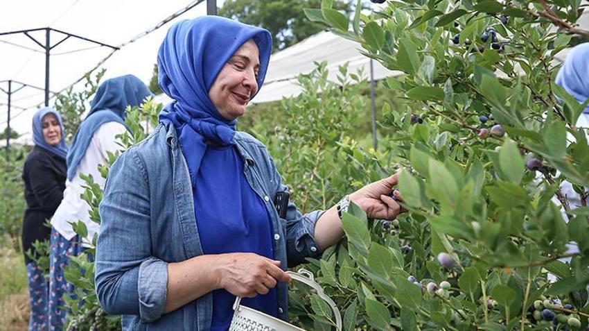 Bursalı 18 kadın üretiyor, İngiltere'den sipariş yağıyor! 850 metre rakımda dev başarı