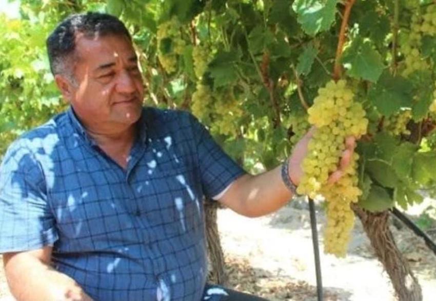 Manisa'da üzüm ihracatı başladı! İlk tırlar yarın yola çıkıyor: Yurt dışından talep yağıyor