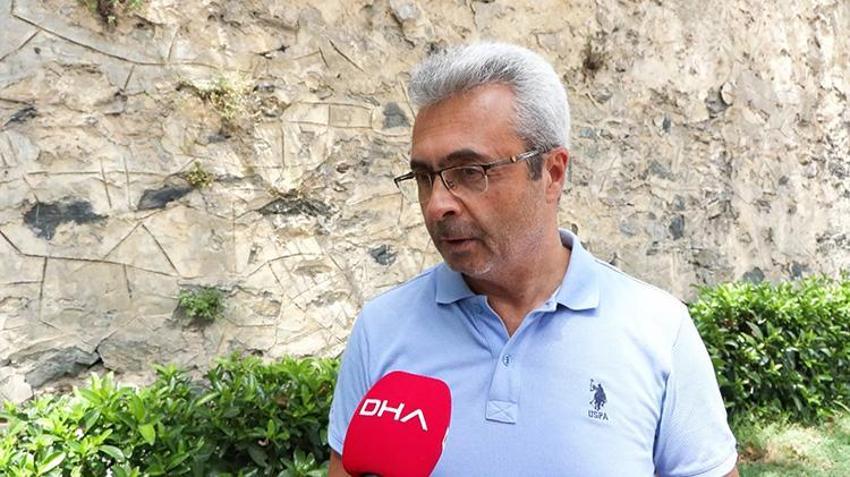 Dolmabahçe ve Çırağan'ın asırlık çınarlarında kanser alarmı: Tedavisi mümkün değil!