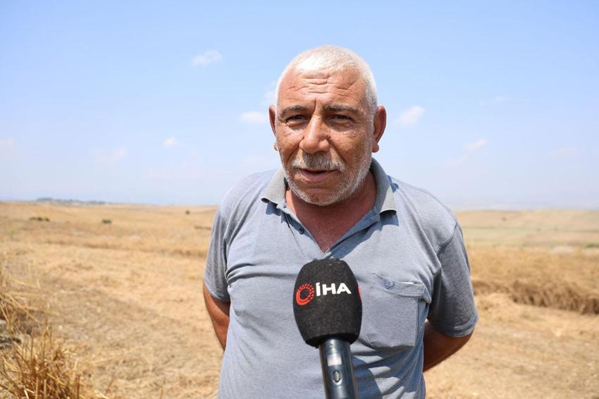 Kozan'da nohut hasadı başladı: Tarlada kilogramı 30-35 liradan alıcı buluyor
