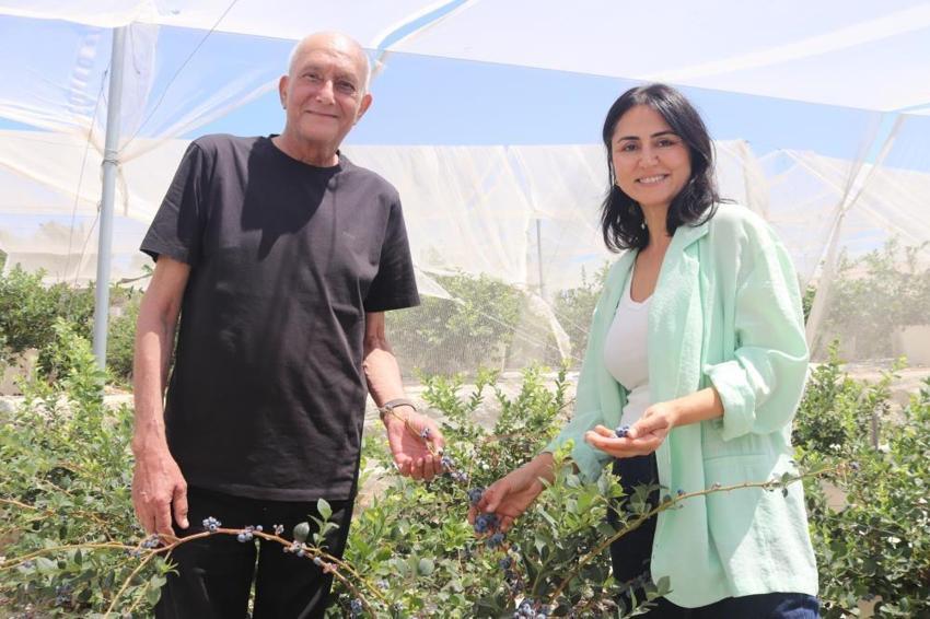 Yurt dışındaki işini bırakıp İzmir'e yerleştiler! Boş araziyi üretim üssüne çevirip servet değerinde ürün yetiştiriyorlar