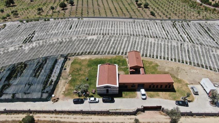 Yurt dışındaki işini bırakıp İzmir'e yerleştiler! Boş araziyi üretim üssüne çevirip servet değerinde ürün yetiştiriyorlar